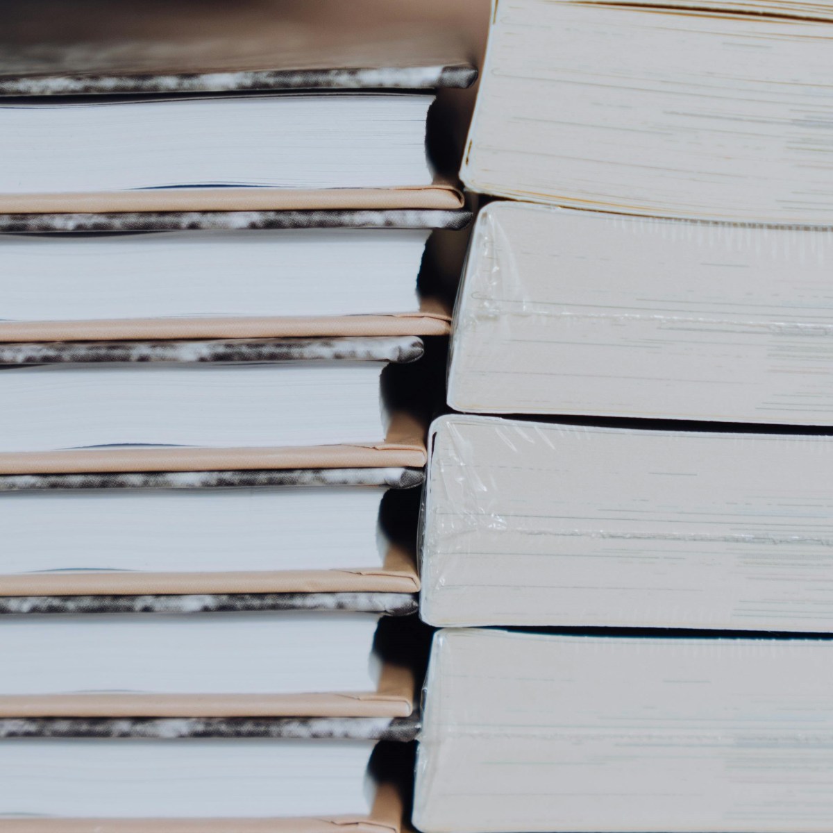 The Read Report — November&nbsp;2024