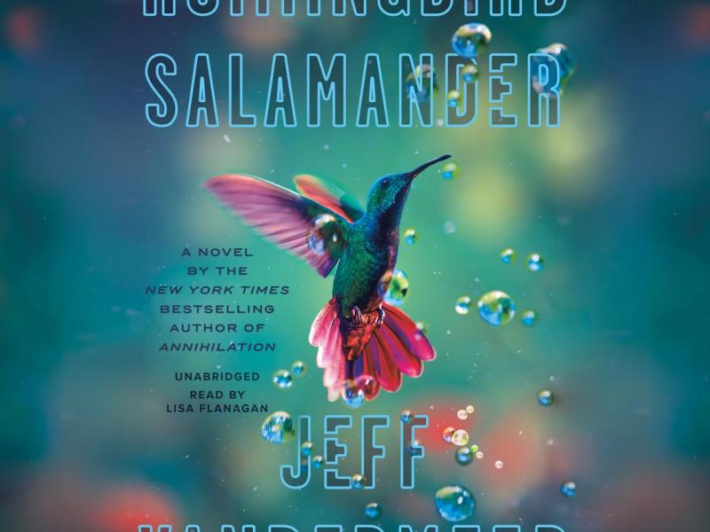 Hummingbird Salamander — Read&nbsp;Report