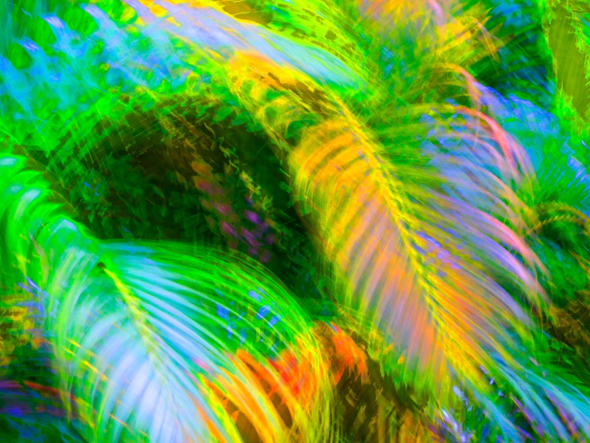 The Other Side — The Story Idea&nbsp;Vault